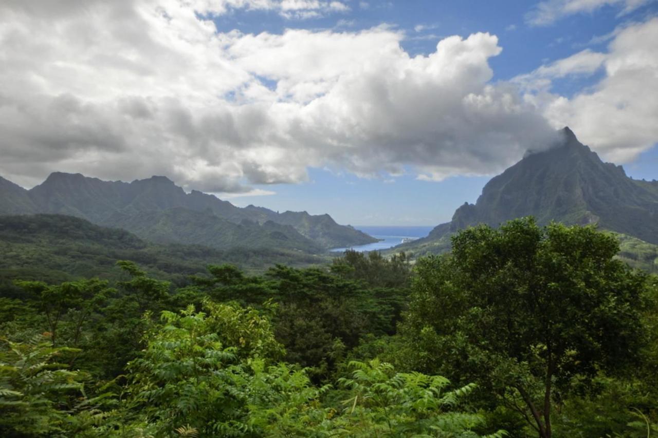 Auti Studio Direct Access To The Beach On Moorea With Ac -Wifi - Netflix Apartment Haapiti Exterior photo